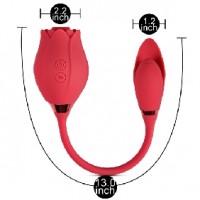 Rose Sucking Vibrator with Vibrating Egg, 20 Functions, Silicone, RED 